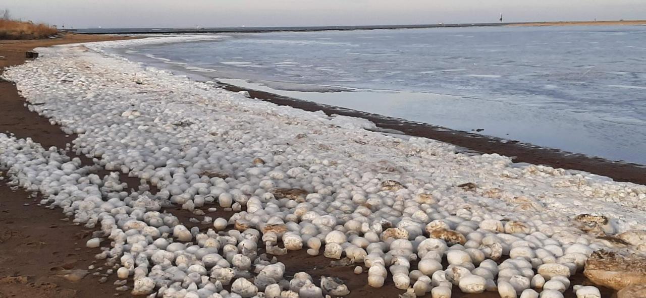 Orzechowy Dworek Nowy Dwór Gdański Esterno foto